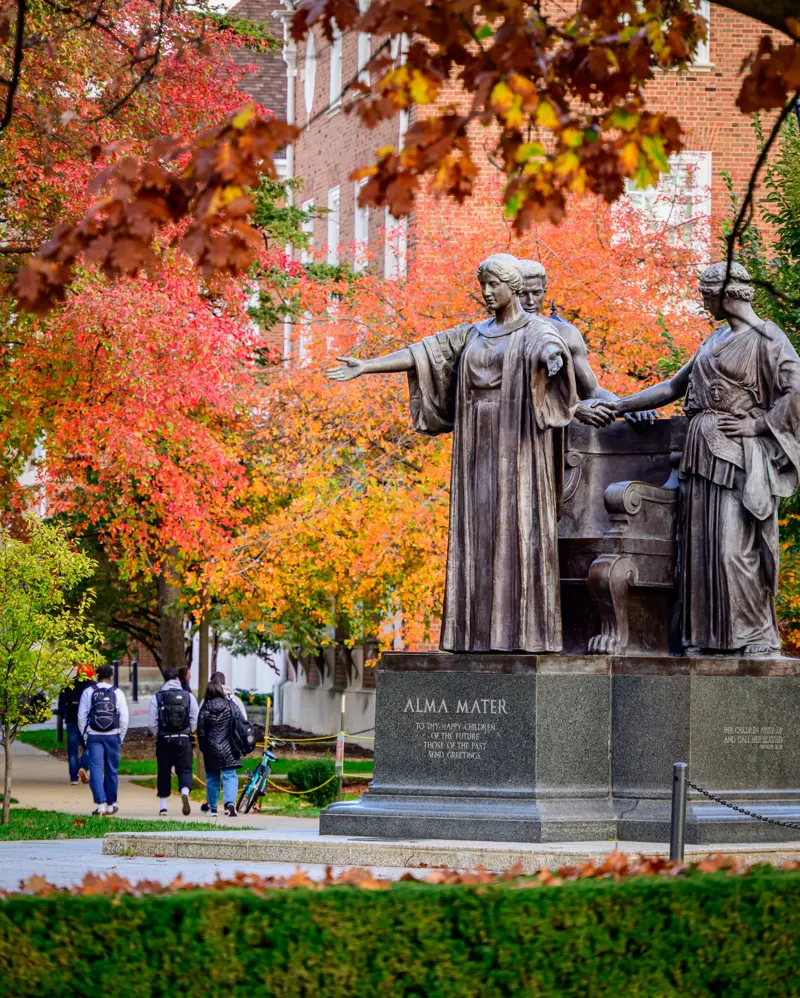 Alma Mater, fall leaves